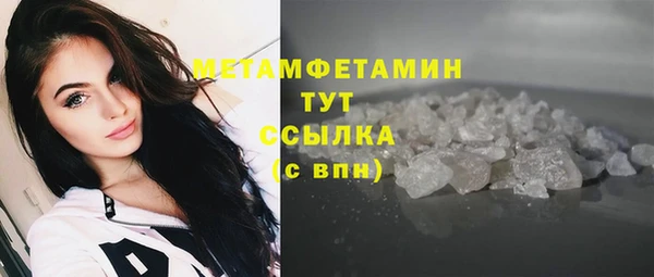 крисы Горняк