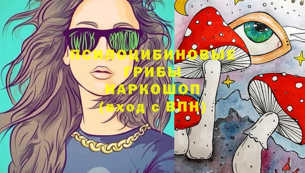 ГАЛЛЮЦИНОГЕННЫЕ ГРИБЫ Горно-Алтайск